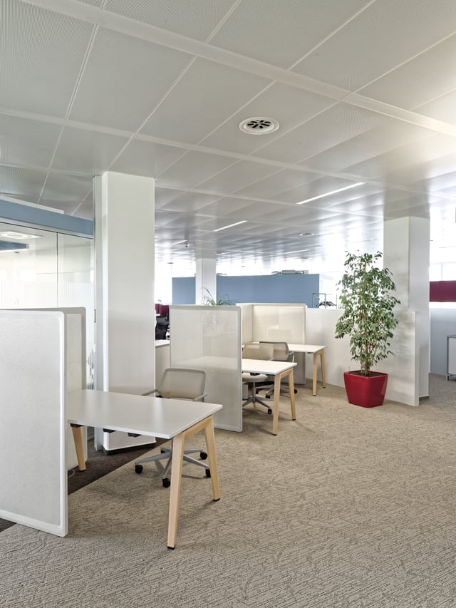 Bürofläche mit Arbeitsnischen aus hellen Stellwänden und einer Grünpflanze im roten Topf