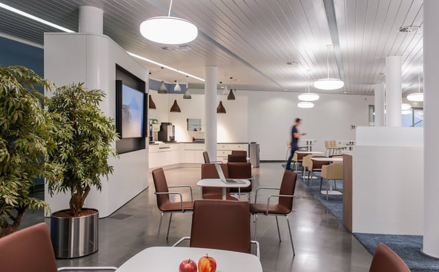 Café-Bereich mit braunen Stühlen, Pflanzen und Theke im Hintergrund, vorne Äpfel auf einem Tisch